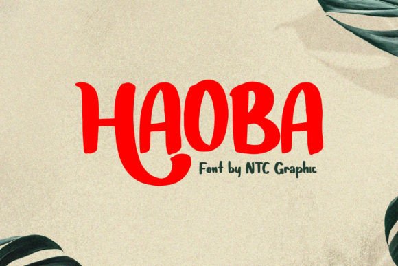 Hoaba: Playful Display Font