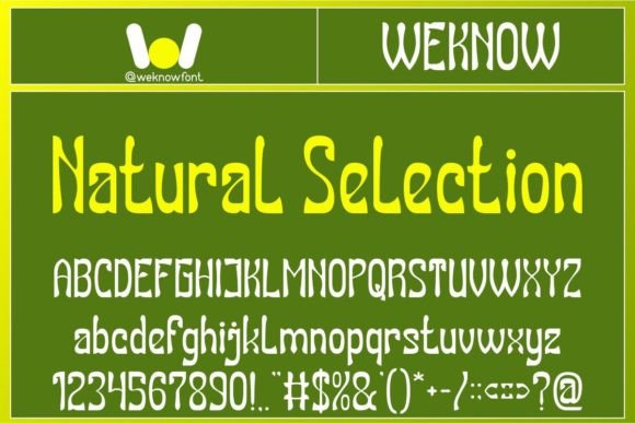 Natural Selection Font Review