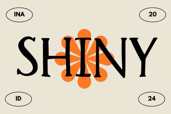 Shiny Font Review